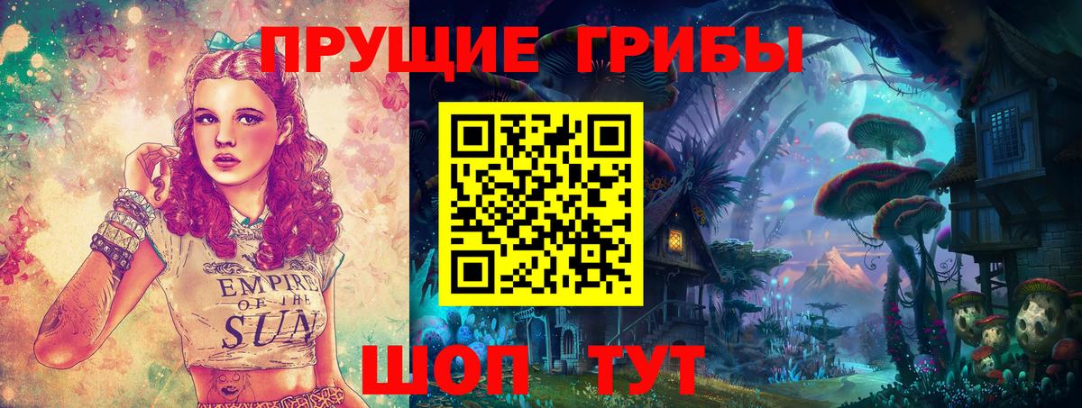 Галлюциногенные грибы прущие грибы  Вход с VPN  Галлюциногенные грибы ЛСД  Осинники 